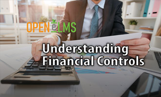 Understanding Financial Controls